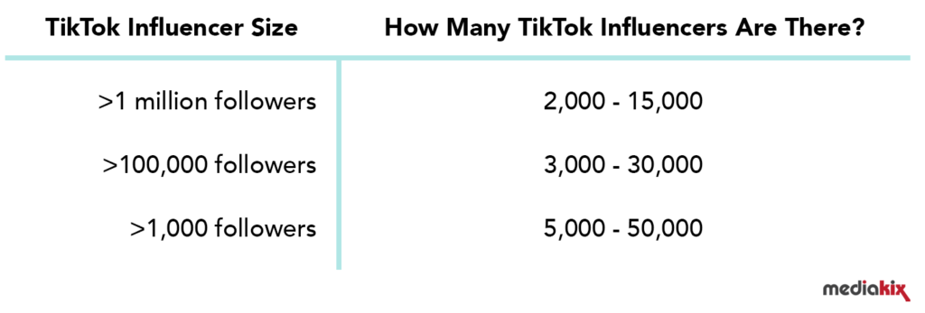tiktok stat