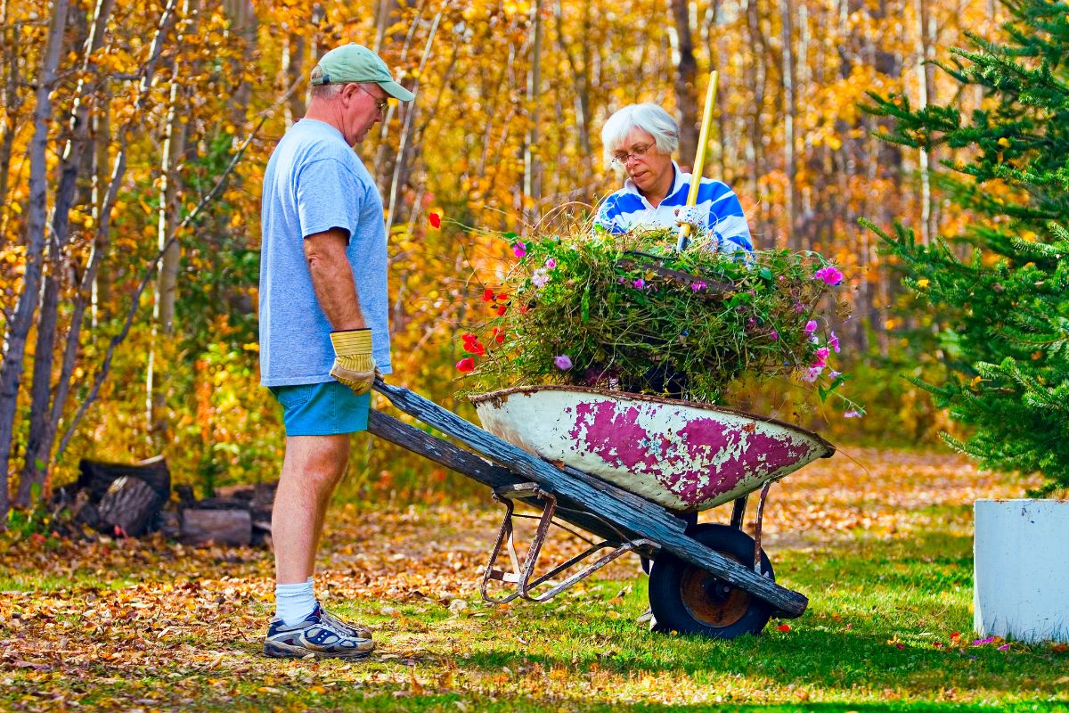 Yard Work 1242